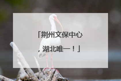 荆州文保中心，湖北唯一！