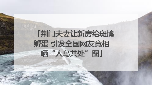 荆门夫妻让新房给斑鸠孵蛋 引发全国网友竞相晒“人鸟共处”图