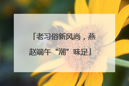 老习俗新风尚，燕赵端午“潮”味足