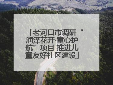 老河口市调研“润泽花开·童心护航”项目 推进儿童友好社区建设