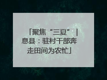 聚焦“三夏”｜息县：驻村干部奔走田间为农忙