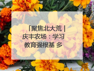 聚焦北大荒｜庆丰农场：学习教育强根基 多管齐下助发展