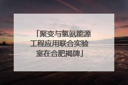 聚变与氢氨能源工程应用联合实验室在合肥揭牌
