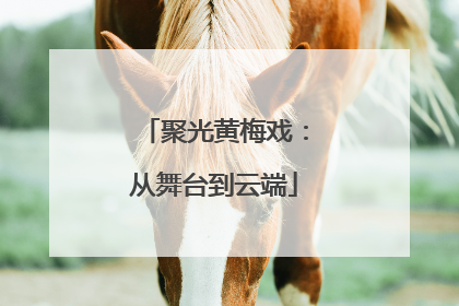 聚光黄梅戏：从舞台到云端