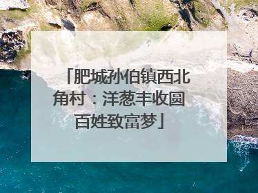 肥城孙伯镇西北角村：洋葱丰收圆百姓致富梦