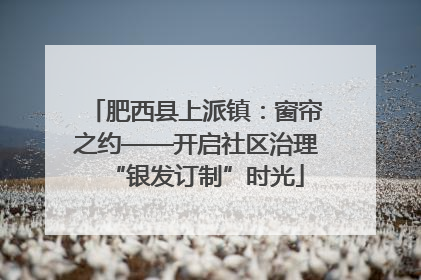肥西县上派镇：窗帘之约——开启社区治理“银发订制”时光