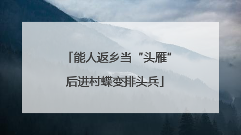 能人返乡当“头雁” 后进村蝶变排头兵