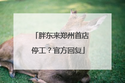 胖东来郑州首店停工？官方回复