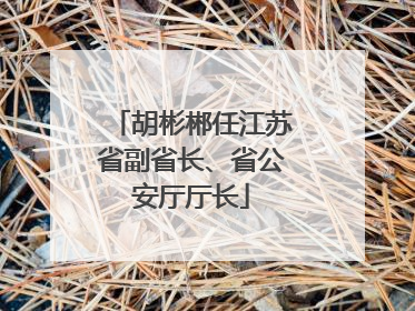 胡彬郴任江苏省副省长、省公安厅厅长