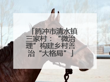 腾冲市清水镇三家村：“微治理”构建乡村善治“大格局”