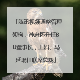 腾讯视频调整管理架构：孙忠怀升任BU董事长，王娟、马延琨任联席总裁