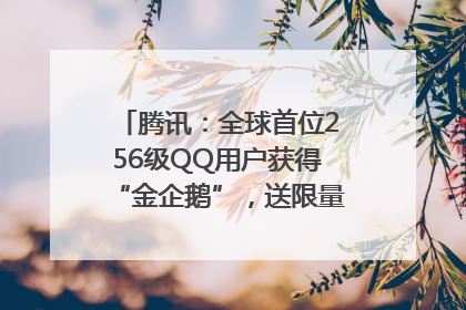 腾讯：全球首位256级QQ用户获得“金企鹅”，送限量版神秘惊喜等礼物