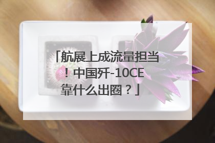 航展上成流量担当！中国歼-10CE靠什么出圈？