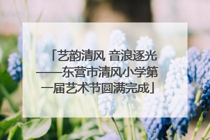 艺韵清风 音浪逐光——东营市清风小学第一届艺术节圆满完成