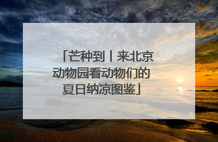 芒种到丨来北京动物园看动物们的夏日纳凉图鉴