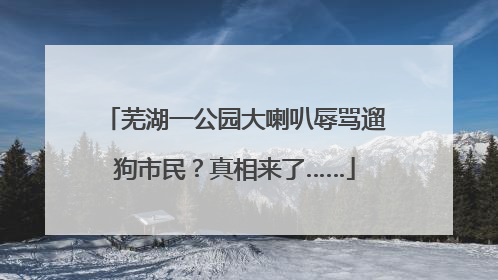 芜湖一公园大喇叭辱骂遛狗市民？真相来了……