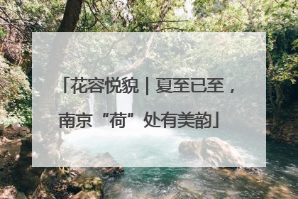 花容悦貌｜夏至已至，南京“荷”处有美韵