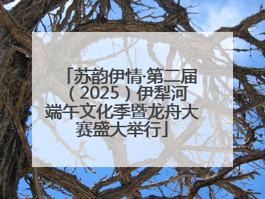 苏韵伊情·第二届（2025）伊犁河端午文化季暨龙舟大赛盛大举行