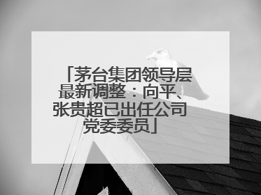 茅台集团领导层最新调整：向平、张贵超已出任公司党委委员