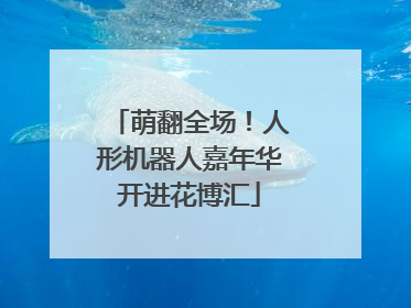 萌翻全场！人形机器人嘉年华开进花博汇