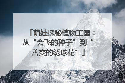萌娃探秘植物王国：从“会飞的种子”到“善变的绣球花”
