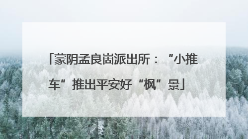 蒙阴孟良崮派出所：“小推车”推出平安好“枫”景