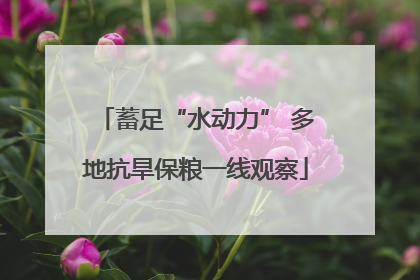 蓄足“水动力” 多地抗旱保粮一线观察