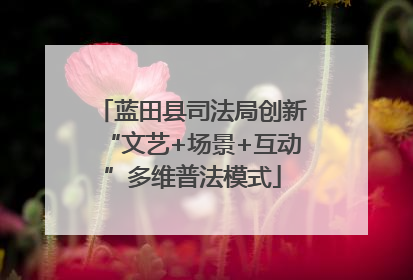 蓝田县司法局创新“文艺+场景+互动”多维普法模式