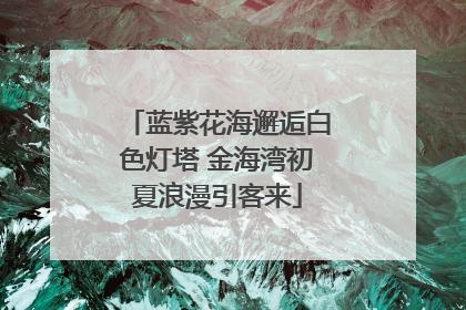 蓝紫花海邂逅白色灯塔 金海湾初夏浪漫引客来