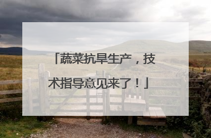 蔬菜抗旱生产，技术指导意见来了！
