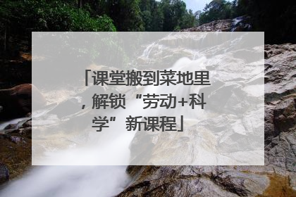 课堂搬到菜地里，解锁“劳动+科学”新课程