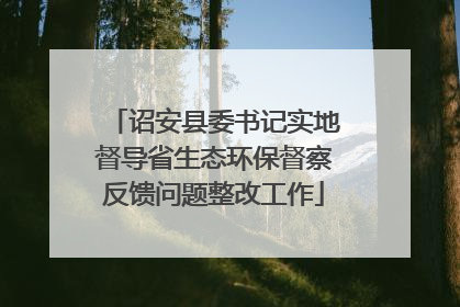 诏安县委书记实地督导省生态环保督察反馈问题整改工作