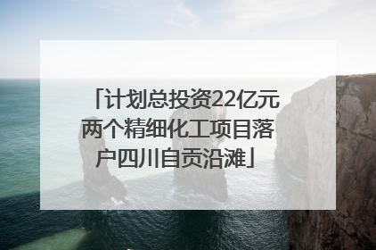 计划总投资22亿元 两个精细化工项目落户四川自贡沿滩