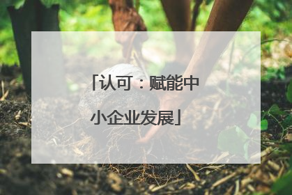 认可：赋能中小企业发展