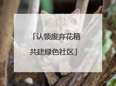 认领废弃花箱 共建绿色社区
