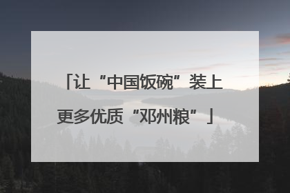 让“中国饭碗”装上更多优质“邓州粮”