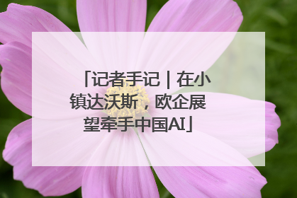 记者手记｜在小镇达沃斯，欧企展望牵手中国AI