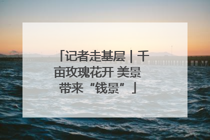 记者走基层｜千亩玫瑰花开 美景带来“钱景”