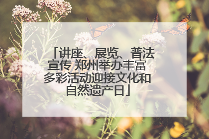 讲座、展览、普法宣传 郑州举办丰富多彩活动迎接文化和自然遗产日