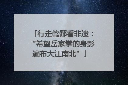 行走赣鄱看非遗：“希望岳家拳的身影遍布大江南北”