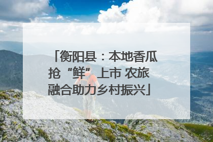 衡阳县：本地香瓜抢“鲜”上市 农旅融合助力乡村振兴