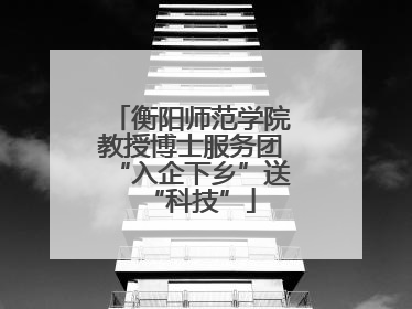 衡阳师范学院教授博士服务团“入企下乡”送“科技”