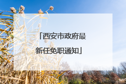 西安市政府最新任免职通知