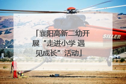 襄阳高新二幼开展“走进小学 遇见成长”活动