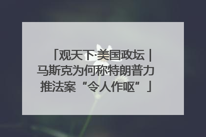 观天下·美国政坛｜马斯克为何称特朗普力推法案“令人作呕”