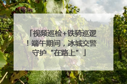 视频巡检+铁骑巡逻！端午期间，冰城交警守护“在路上”
