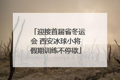 迎接首届省冬运会 西安冰球小将假期训练不停歇