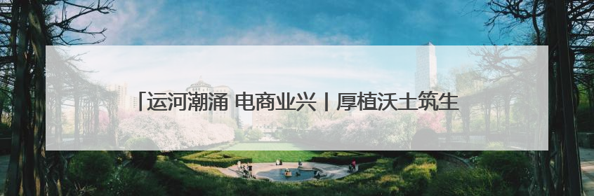运河潮涌 电商业兴丨厚植沃土筑生态 宿迁电商发展跑出“加速度”