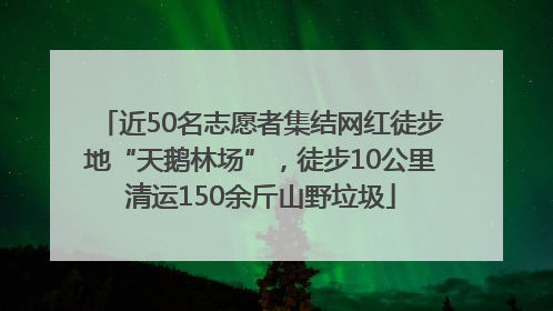 近50名志愿者集结网红徒步地“天鹅林场”，徒步10公里清运150余斤山野垃圾