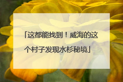 这都能找到！威海的这个村子发现水杉秘境
